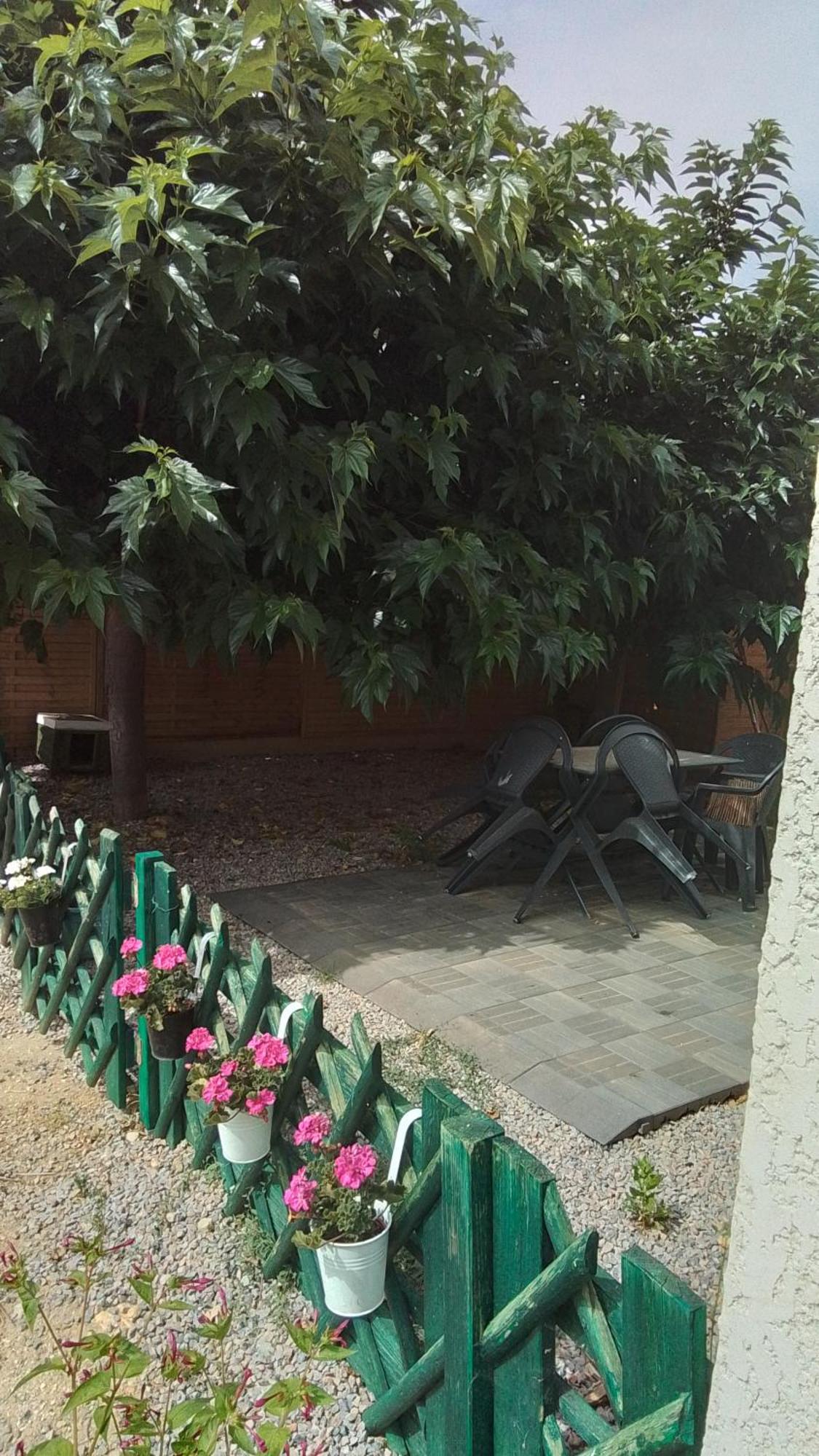 La Tortue Apartment Passa Bagian luar foto
